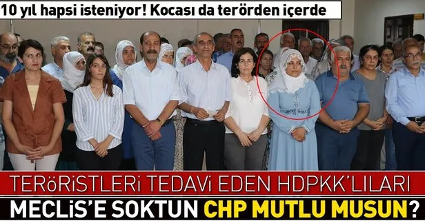 HDP'li Remziye Tosun’un teröristleri tedaviden 10 yıl hapsi isteniyor
