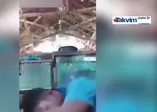 Şov yapayım derken yılanın hışmına uğradı