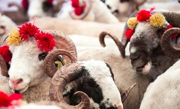 Kurban Bayramı tarihi nedir? Kurban Bayramı 2020 ne zaman?-3
