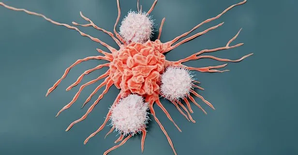 İç organları anadan doğma tekrar yeniliyor: 7 günde 1 adet tüketene kanser yaklaşmayacak!