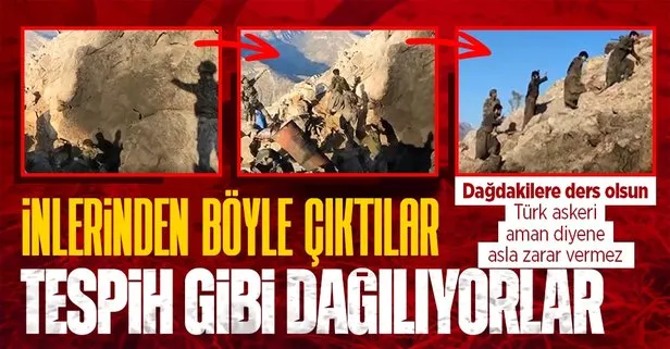 Köşeye sıkışan PKK dağılıyor: Teröristlerin mağaradan çıkarak teslim oldukları anlar görüntülendi