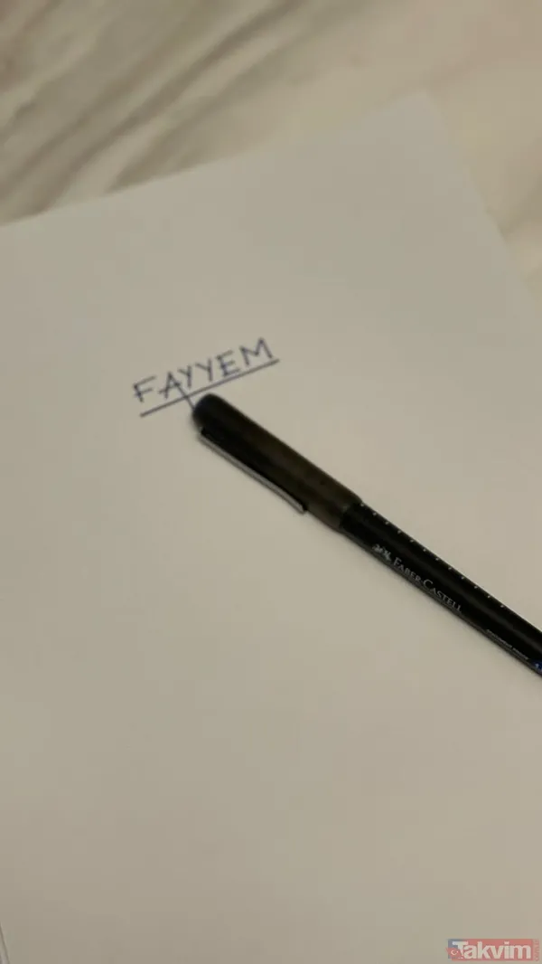 SON DAKİKA: Ece Erken'den sır ifade 'FAYYEM' diyerek neyi kastetti? Şafak Mahmutyazıcıoğlu'nun ölümünde Falyalı suikasti bağlantısı... - 6