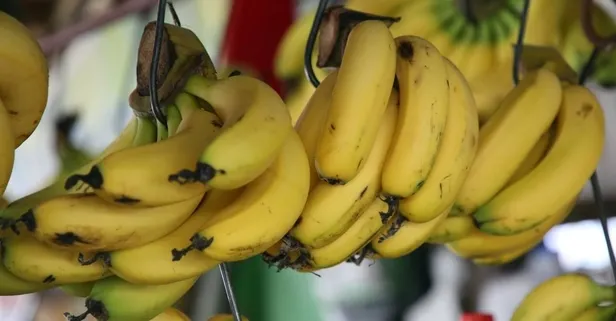 Böbrek taşının çaresi: Muz | Tansiyon, kanser, ülser, vitamin... Her derde deva!