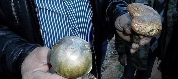 Ordu’da mantar zehirlemesi!