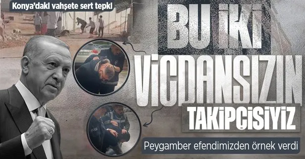 Başkan Erdoğan’dan Konya’da barınaktaki vahşet görüntülerine tepki: 2 Vicdansız tutuklandı! Takipçisi olacağız