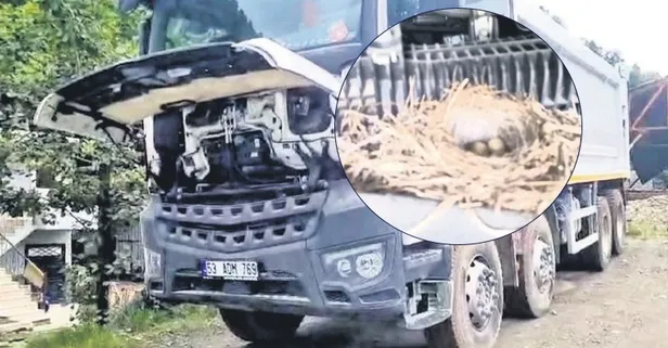 Rizeli Ahmet Yankın'dan örnek davranış | Motoru kuş yuvası oldu 15 gün kamyonunu çalıştırmadı