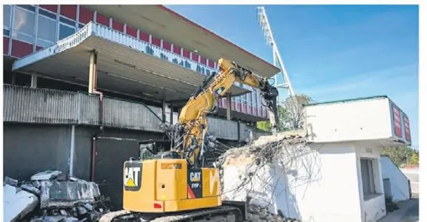 Berlin stadı yuva yapan serçeler yüzünden yıkılmadı