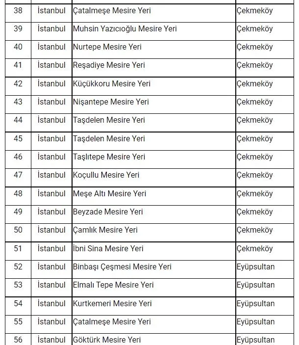 Son dakika: İstanbul'da ormanlara giriş yasağı! Vali Yerlikaya duyurdu: Ormanlara giriş yasağı 31 Temmuz'a kadar sürecek! İşte mangal yapmanın yasak olduğu yerler...-10