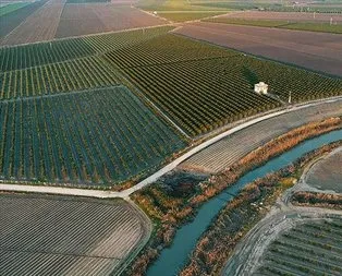 Türkiye’de 2020 yılında 541 bin hektar alanda arazi toplulaştırması tamamlanacak