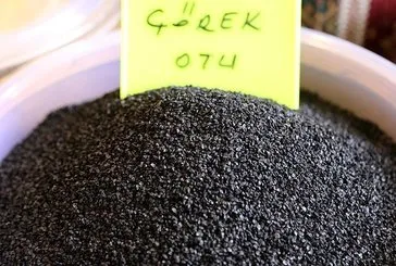 Çörek otu sağlık dolu