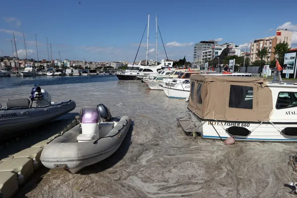 son-dakika-marmara-denizi-musilajla-deniz-salyasi-kaplandi-uzmanlar-uyardi-midye-yemeyin-felc-kalabilirsiniz-1622882652719.jpg SON DAKİKA: Marmara Denizi müsilajla (deniz salyası) kaplandı! Uzmanlar uyardı: Midye yemeyin felç kalabilirsiniz-16