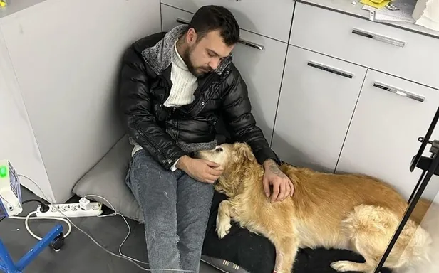 fenomen-kopek-hera-oldu-mu-neden-oldu-fenomen-kopek-hera-kac-yasinda-unlu-isimler-yorum-yagdirdi-1674485049660.jpg FENOMEN KÖPEK HERA ÖLDÜ MÜ, neden öldü? Fenomen köpek Hera kaç yaşındaydı? Ünlü isimler yorum yağdırdı!-4