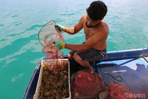 Ayda 100 bin lira kazanıyor! İşletme bitirip köyüne döndü kerevit avlayıp satıyor - 8