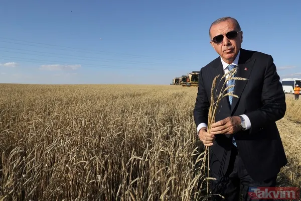 Başkan Erdoğan biçerdöverde buğday hasatı yaptı - 38