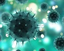 Koronavirüste yeni mutasyon! Daha çok bulaşıyor