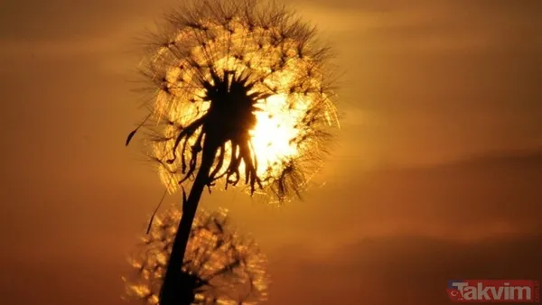 En İyi Gözlem Yerleri İçin Tavsiyeler 🌷Gözlem İçin Şehir Işıklarından Uzak, Karanlık Ve Açık Alanlar Tercih Edilmeli. 🌷Gözlem Sırasında Çıplak Göz Yeterlidir...