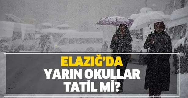 Elazığ'da yarın okullar tatil mi?