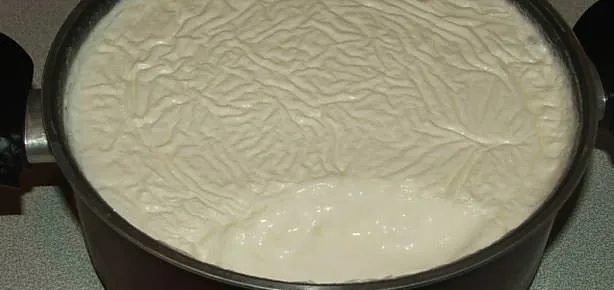 Ev yoğurdu mucize besin