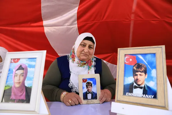 diyarbakir-anneleri-evlat-nobetini-kararlilikla-surduruyor-hdp-ve-pkk-sizi-kandirdi-oglum-1629122344604.jpg