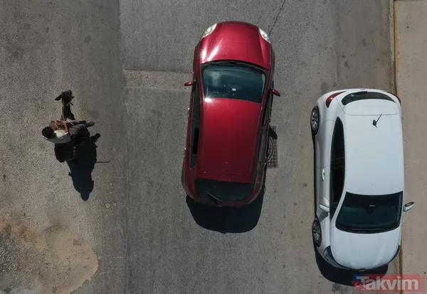 Günün en ilginç haberi: Japon turist Merzifon'dan aldığı eşekle Türkiye'yi gezdi - 24