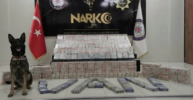 Van'da 347 kilo eroini 'Magnum' ve 'Bobi' buldu