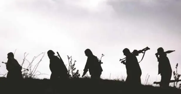 PKK'ya bir darbe daha! 500 bin lira ödülle aranan PKK'nın sözde komutanı yakalandı