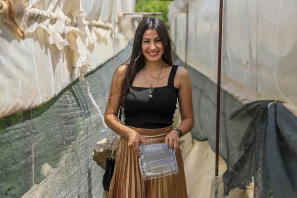 kabin-memuru-cemre-ates-bir-tohumla-basladigi-mini-seker-domatesi-uretimini-4-donume-cikardi-1623137179484.jpg Kabin memuru Cemre Ateş bir tohumla başladığı mini şeker domatesi üretimini 4 dönüme çıkardı-12