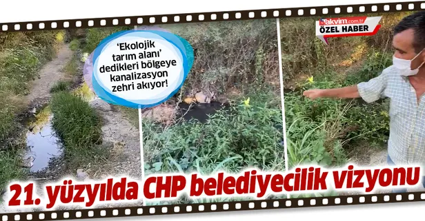 21. yüzyılda CHP'nin belediyecilik vizyonu! Ekolojik tarım alanı dedikleri bölgeye kanalizasyondan zehir akıyor