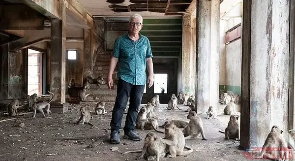 Maymun çeteleri Tayland’ı ele geçirdi: 4 çete 4 bin 500 üye! Haraç, gasp, pusu, şantaj, kavga her şey var - 2