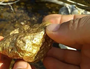 6.5 milyar dolarlık dev altın madeni keşfedildi!