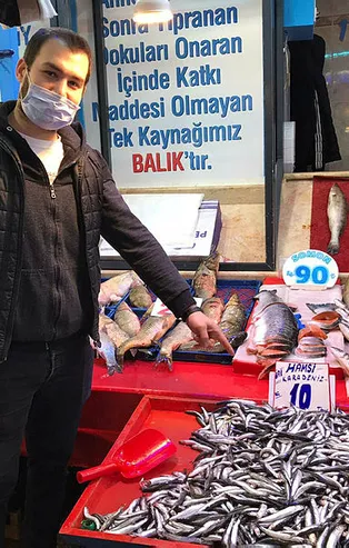 Hamsinin fiyatı 10 liraya düştü! Akın ettiler...