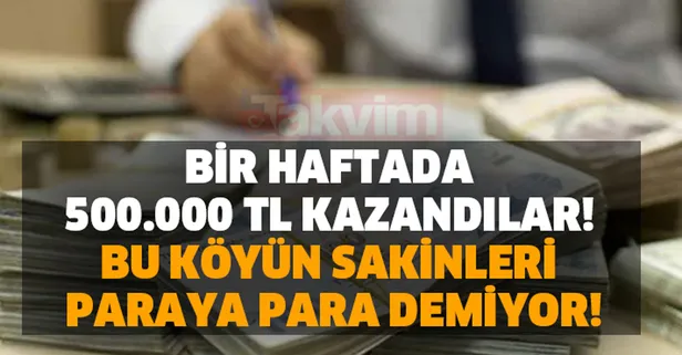 Bu köyün sakinleri paraya para demiyor! Bir haftada 500.000 TL kazandılar! Bu işin getirisi çok yüksek