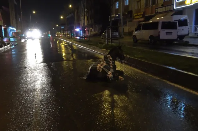 İstanbul Arnavutköy'de minibüs ata çarptı