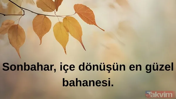 🌾Sonbahar, İçe Dönüşün En Güzel Bahanesi.