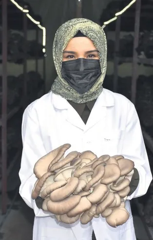 Harita mühendisi mesleğini bıraktı mantar üretmeye başladı! 5 ilde satış yapıyor | Yurttan ve dünyadan haberler