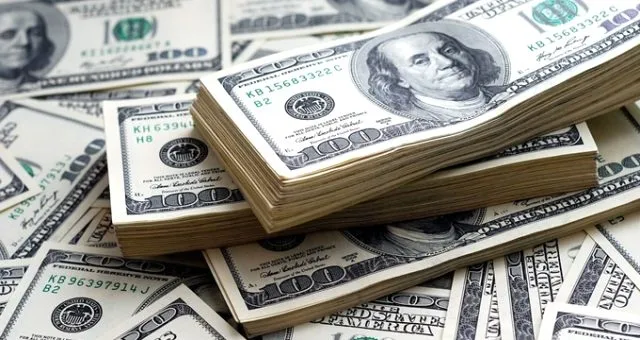 1 dolar kaç lira? İşte 25 Ağustos dolar ve euro kuru-3