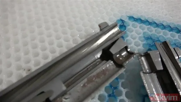 Çıngıraklı yılanın kuyruğundan çıkanlar görenleri şoke etti! Sonrasında ise... - 39