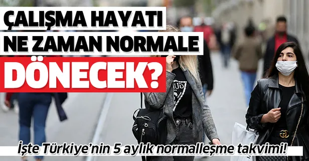 Son dakika: Çalışma hayatı ne zaman normale dönecek? İşte Türkiye'nin normalleşme takvimi! Kritik 5 ay!