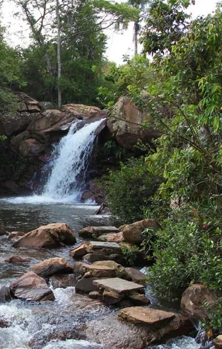 Rüyada dere görmek ne anlama gelir?