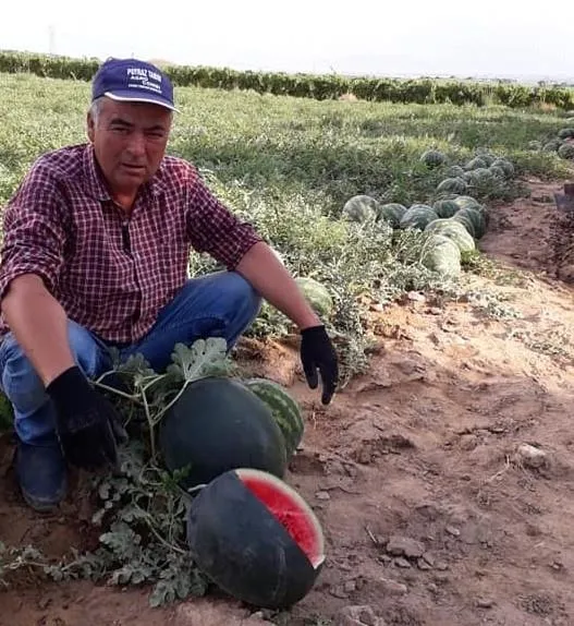 Manisa’da esrarengiz cinayet: Traktörünün yanında tüfekle vurulmuş halde bulundu-2