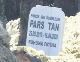 Bu acı tarifsiz