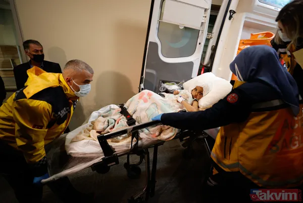 Köpek saldırısından nasıl korunabiliriz? Asiye'ye saldıran pitbull köpekleri gündem olmuştu! Bunları kesinlikle yapmayın - 3