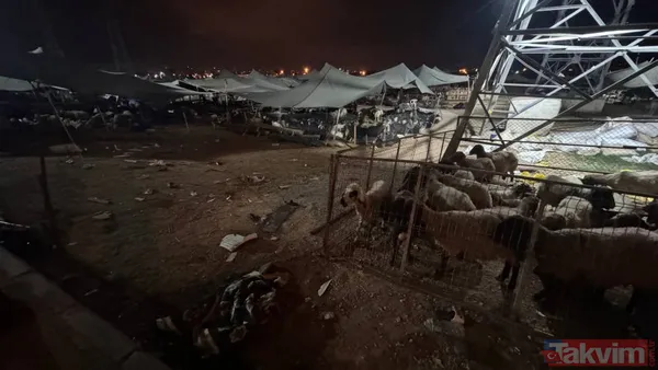 Mersin'de kontrolden çıkan otomobil kurbanlık hayvan pazarına daldı! Çok sayıda yaralı... 20 küçükbaş telef oldu - 8