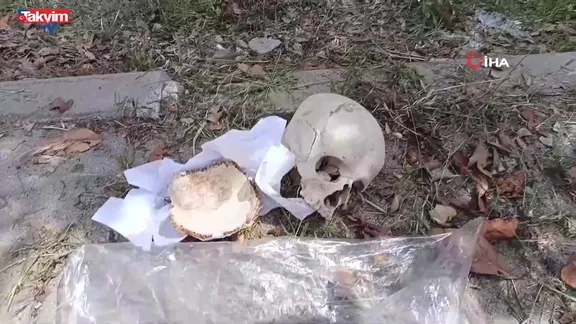 Adana'da kan donduran olay! Çöp konteynerinden insan kafatası çıktı
