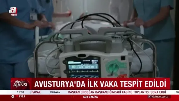 Belçika'da maymun çiçeği karantinası