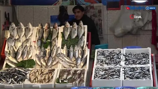 Mezgitin kilosu rekora koşuyor! |Video