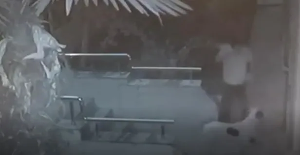 Son dakika: Beylikdüzü’nün kabusu olan hırsız kıskıvrak yakalandı-2