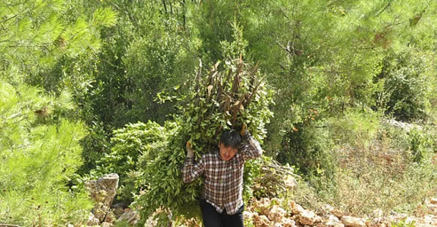 Avrupa'dan sipariş yağıyor! 5 milyon TL'lik gelir!