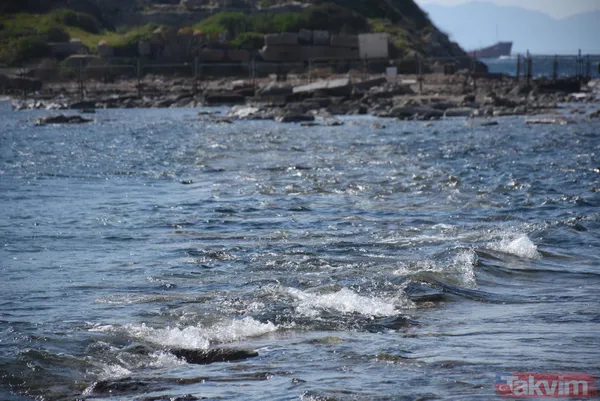 Deniz çekilince ortaya çıktı! Tam 3 bin 500 yıllık kral yolu - 14