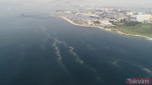 Müsilaj kabusu geri döndü! İstanbul'da müsilaj her geçen dakika artıyor - 3